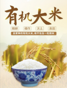 启创景飞:您的米油糖核心供应链解决方案专家